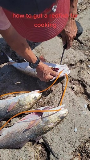 How to Gut a Redfish for Cooking