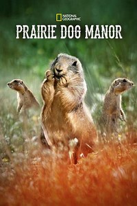 Prairie Dog Manor (2019) - TV Show