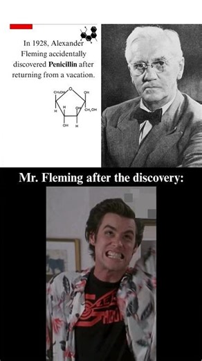 Meme The Great Discovery of Antibiotics #memes #shorts