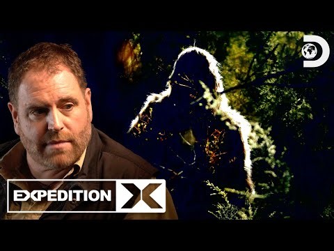 Swamp Beasts Unleashed | Expedition X | Discovery