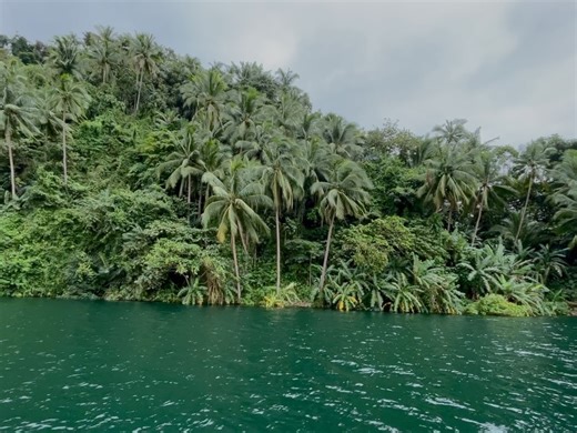 jacque on Instagram: "the type of quiet i've been craving"