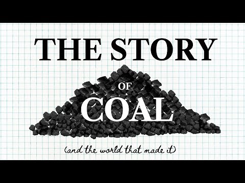 We Were Wrong About Coal - Here's How It Really Formed