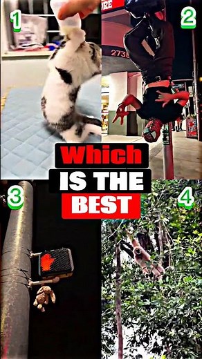 Maui Wowie 💃 | Spider-Man, Teddy, Monkey & Cat Dance TikTok Trend #shorts