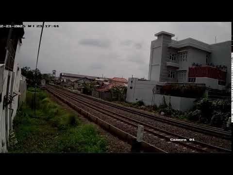 Live Stream CatsANDTrain