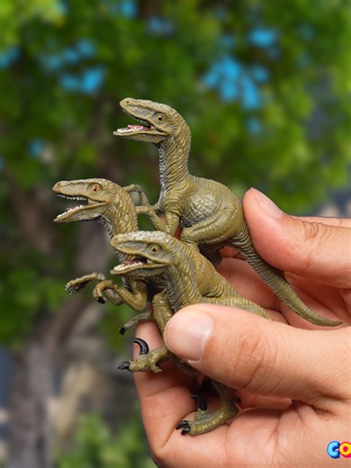 Exploring Dinosaurs: A Journey into Dino History