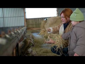 Hostellerie de la Pointe Saint-Mathieu | Visite de la ferme des brebis d'Iroise