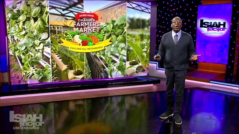 Visiting the Metallic Sunflower Foundation in Houston's Acres Homes