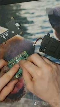 Cooling your pet (project) #hardware #raspberrypi #diy