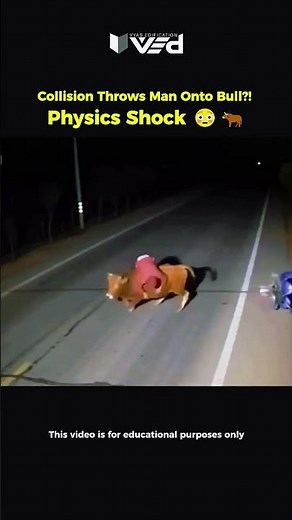 Man Thrown Onto Bull?! 🤯 Crazy Collision Physics 🐂 #shorts