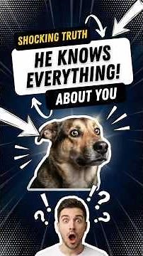 7 Things Your Dog Knows About You (That You Don’t)