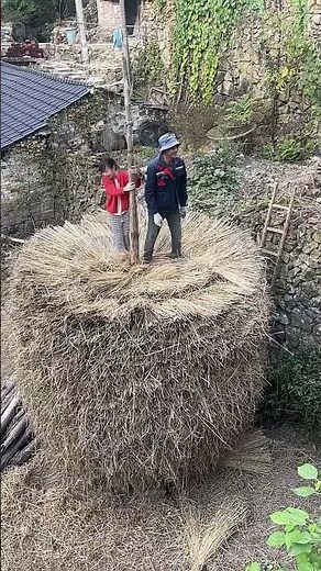 Amazing Bale Storing Setup 🌾 | Smart Hay Storage Methods for Farmers