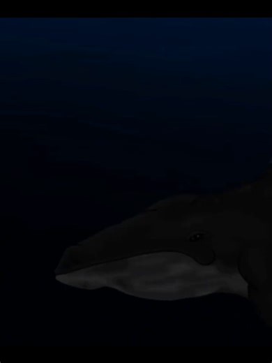 WHALE GODZILLA EVOLUTION ☠️ | #MONSTERVERSE#RALFA.U#