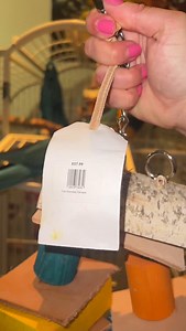 Macaw toys are so expensive, and will be destroyed in a couple days 🫠 | Tango Thedwarf Caiman