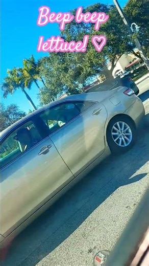 Beep beep lettuce! ♡