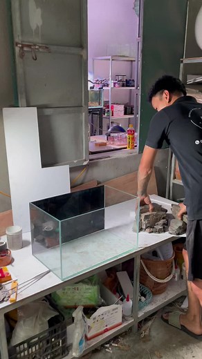 #CapCut Setup layout dán sẵn của chúng tôi chưa đầy 2 phút. #bểcácảnh #bểcáthuỷsinh #bểcá #aquarium #aquascape #biotopeaquarium #aquatank #biotopeaquariums #biotopetank #bểbiotop #aquatic #bểnuôicá #xuhuong #xuhuongtiktok #biotoptank