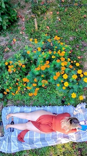 The surrender experiment