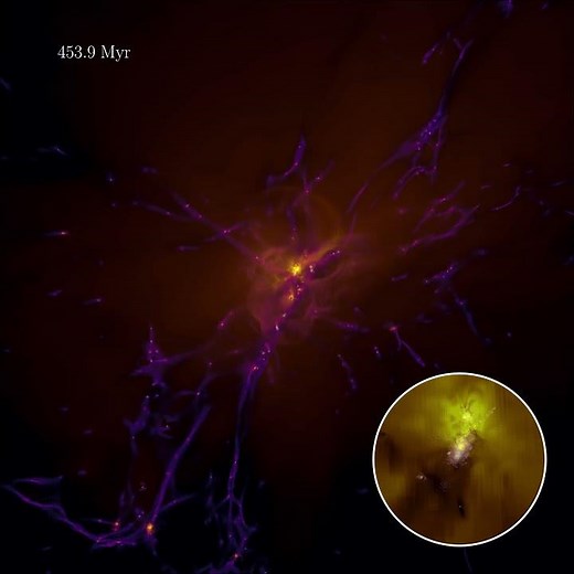 The formation and evolution of the first stars and galaxies in a simulated universe