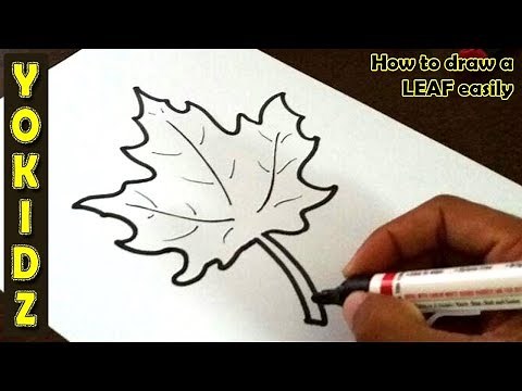 How to draw a LEAF easily