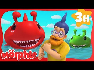 Morphle the Great Red Shark! | Cartoons for Kids | Mila and Morphle