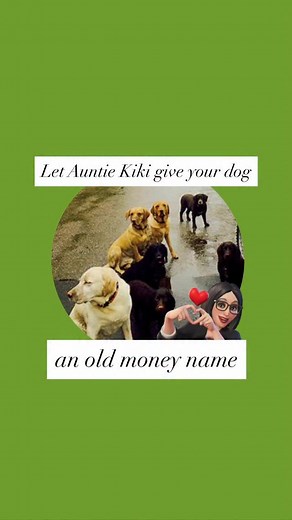 28K views · 596 reactions | The top 10 dog names for both male and...