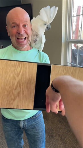 Crazy coins #shorts #magic