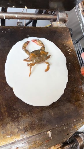361K views · 8.5K reactions | 孫娘のカニせんべい！Beautiful Crab Rice Cracker...