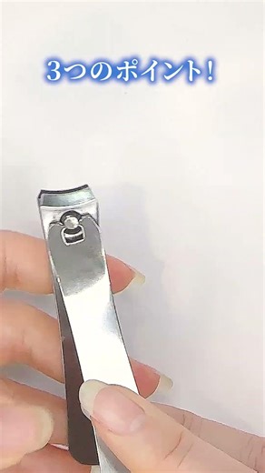 爪切りで傷めない方法