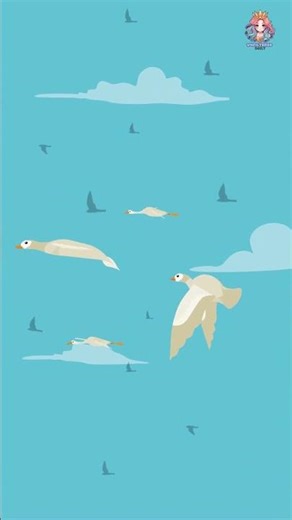 Birds Bringing Smiles 🐦✨#animatedbirds #birdanimation #cuteanimation #flyingdreams #creativevideo