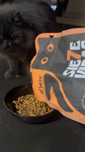 Valentina Taguado on Instagram: "Uno cree que manda en la casa hasta que tiene gatos 😅 Aquí hay reglas, Pancake y Galletita solo aceptan lo que esté a su altura, por eso @7.vidasoficial es nuestra única opción😻 #7vidas #ad"