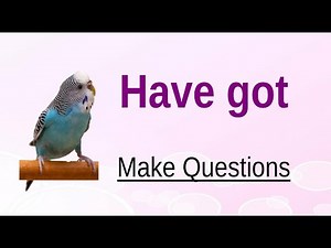 Have got - Make Questions
