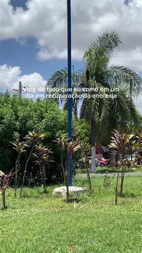 Comida Conforto: Nutrição e Recuperação na Anorexia