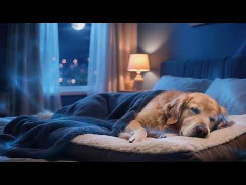 SHUT UP BRAIN, I'M GOING TO SLEEP NOW = BINAURAL SLEEP MUSIC FOR YOU