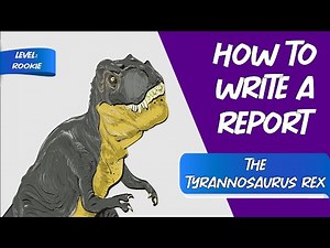 How to Write a Report | Writestyler | Rookie Level
