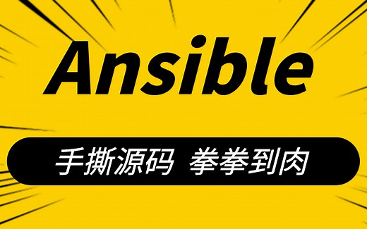 Ansible全套教程 手撕源码 拳拳到肉