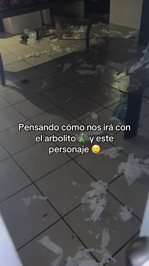 london.beagle on TikTok