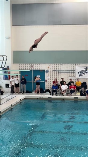 Slow Motion 5132D Dive On 3m Board