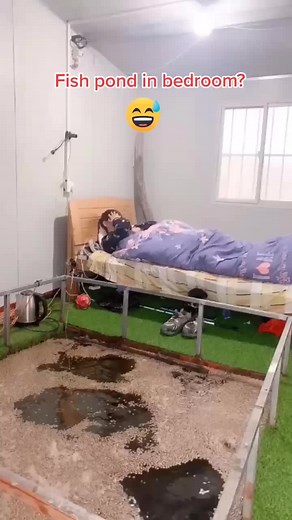 It's time to get up and catch fish😂 #fish #fishpond #fyp #foryou