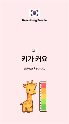 Learn Korean: Essential Basic Phrases for Beginners