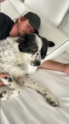 This bug catcher creates a sealed environment to easily trap bugs inside