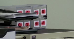 Blood type does not impact COVID-19 symptoms