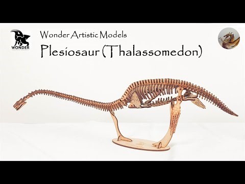 307: Wonder Artistic Models Plesiosaur (Thalassamdeon) Review (2024)
