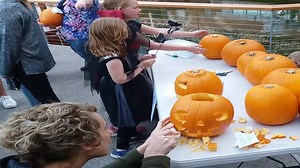 A pumpkin carving adventure! Nice work Caz. #PennyRoyalTas | Penny Royal Adventures | Facebook