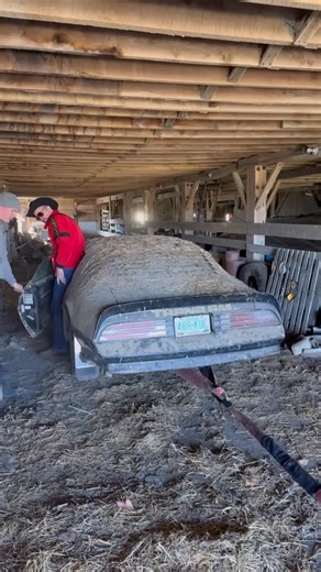 WD Detailing on Instagram: "We found a 1978 Trans AM sitting in a barn for 30 YEARS! So did @turtlewax? #YouAreHowYouCar #TurtleWaxPartner #wddetailing #detailing"