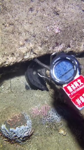 Exploring the Wonders of Deep Sea Fishing