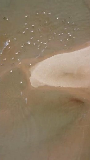 Beautiful Aerial Views | Lake Superior | Upper Peninsula of Michigan