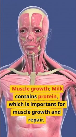 Milk benefits | milk benefits for health