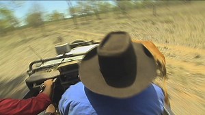 716K views · 4.9K shares | This week on Landline, we take you wild bull catching at Seven Emu Station in the Top End and meet the Indigenous pastoralist giving troubled kids a second chance! Sunday at noon. | ABC Landline | Facebook