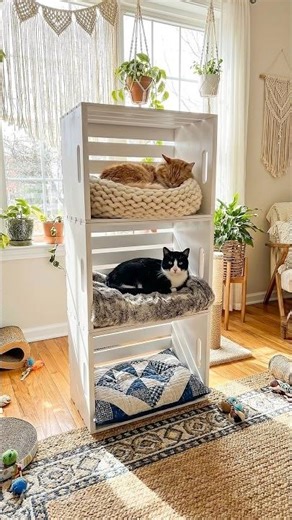 DIY Cat Condo with 3 Wooden Crates! 😻✨ #shorts #catdiy