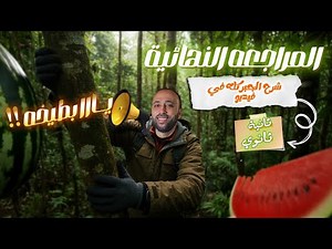 الصف الثاني الثانوي🔥المراجعه النهائية🔥شرح الجبر بالكامل🔥ملخص قوي جداا يا بطيخه #جبر