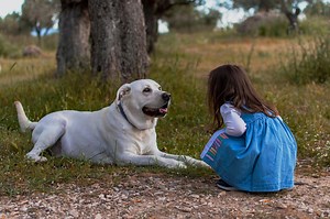7 gentle techniques to help your child beat their fear of dogs